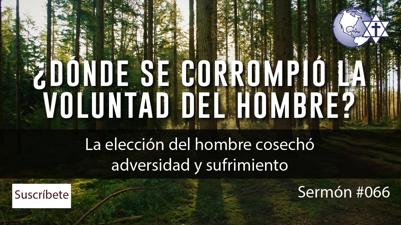 ¿Dónde se corrompió la voluntad del hombre? Estudio de hombres 18 nov 2019, #066