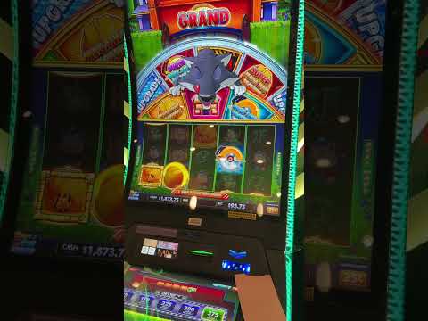 I CANNOT BELIEVE THIS JUST HAPPENED #casino #gambling #slot