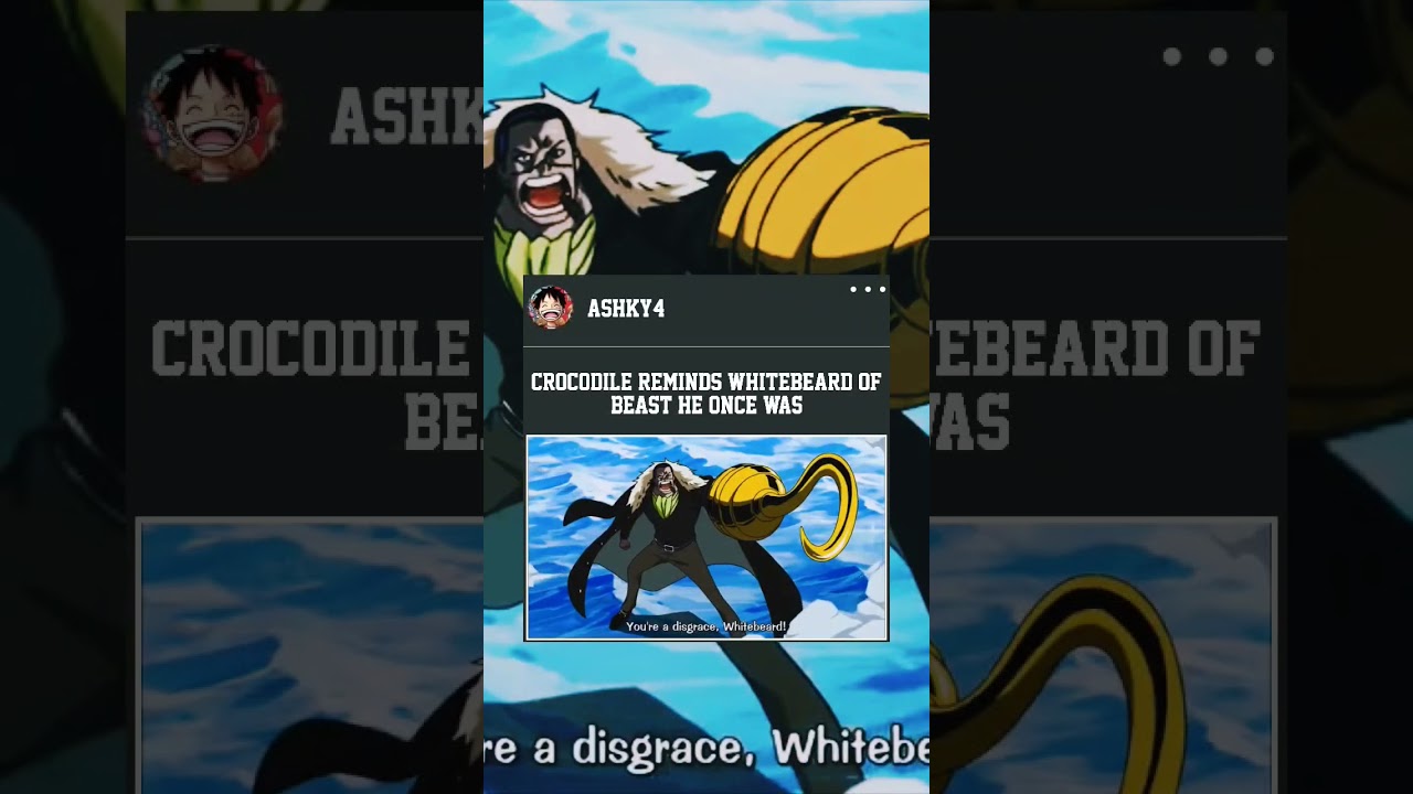Crocodile reminds whitebeard of beast he once was 💯 