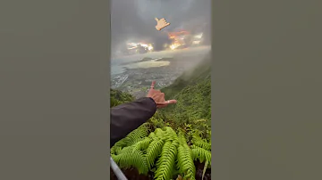 Aloha. Hawaii. Алоха 🤙🏼