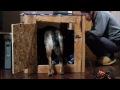DIY Dog Kennel Using Free Pallets and $5 worth of plywood DIY Dog Kennel Using Free Pallets and $5 worth of plywood