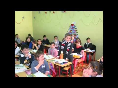 ტყე და მისი დიდი მნიშვნელობა