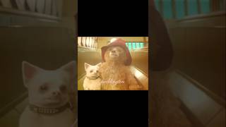 Paddington !! - first edit 😽✌🏻 #paddington #edit #bear #paddingtonbear #london #fyp #fypシ #viral