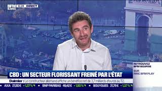 Le CBD en France, Fleurs interdites ?