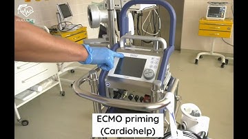 ECMO priming (Cardiohelp)