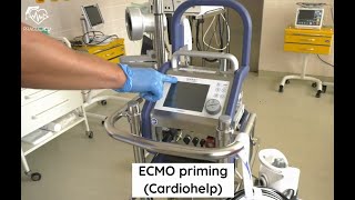 ECMO priming (Cardiohelp)