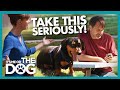 Victoria Gets Mad After Owner Caught Slacking | It's Me or The Dog