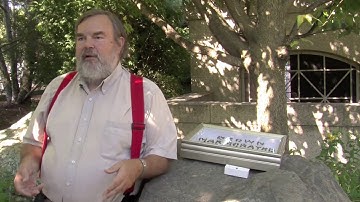 Here come the stink bugs...