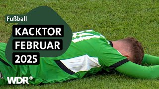 Thumbnail for Wahl zum Kacktor des Monats Februar | ZwWdF | WDR