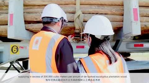 Stora Enso congratulates Ponsse China!