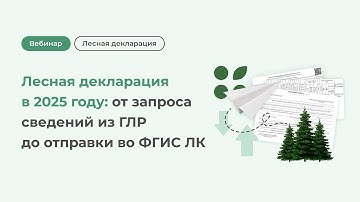 Лесная декларация в 2025 году: от запроса сведений из ГЛР до отправки во ФГИС ЛК