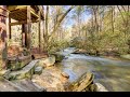 5 Waterfront Cabins PERFECT for Summer Vacation!