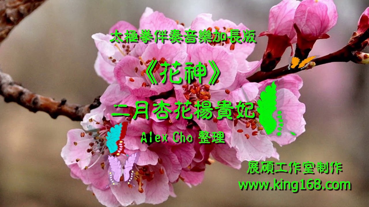 L0 二月花神杏花 太極拳伴奏音樂加長版 純音樂 禪修音樂 佛教音樂 減壓睡眠放鬆輕音樂 Tai Chi Relaxing Chinese Romantic Music