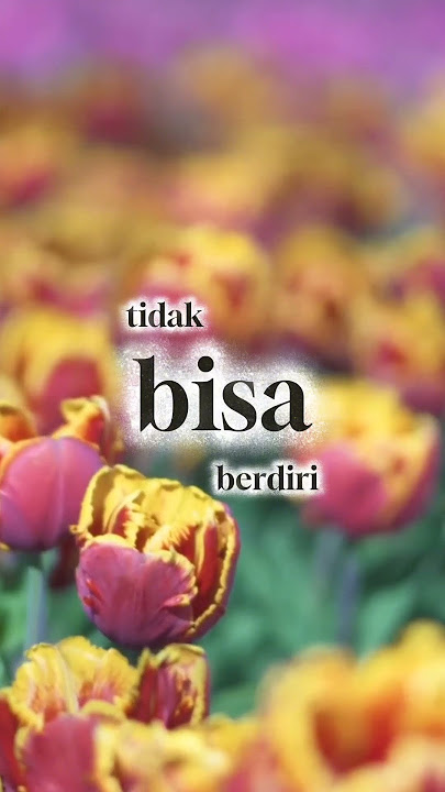 Apa kah ini ciciri pisang suami loyo