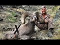 California Bighorn Sheep Hunt