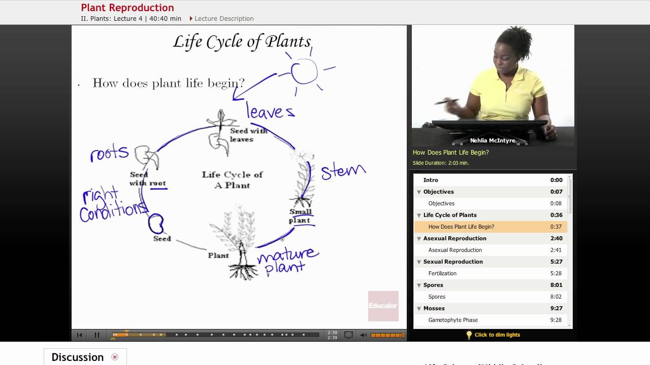 Life Science Plant Reproduction YouTube