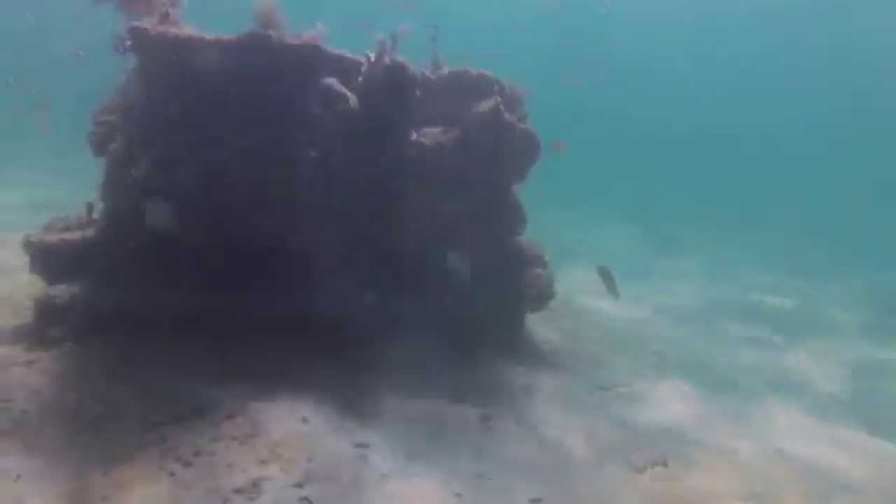 underwater video lights Scuba Diving at Blue Heron Bridge, Rivieria Beach, FL