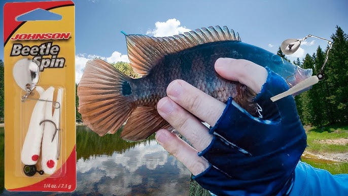 Beetle Spin Fishing Lure HACK that will Catch you more FISH! 