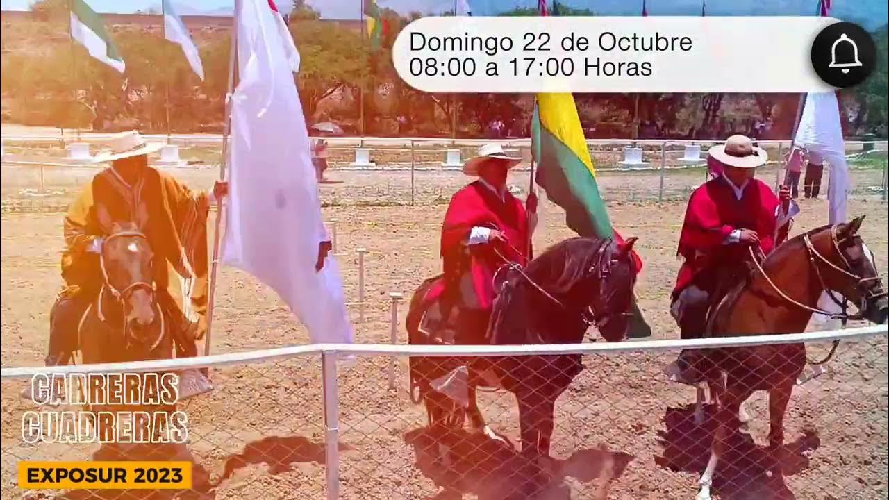 cuatreras YouTube
