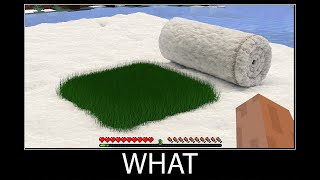 Minecraft wait what meme part 103 realistic minecraft Snow