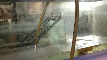 DIY Sump Refuguim and Calcium Reactor Part 1