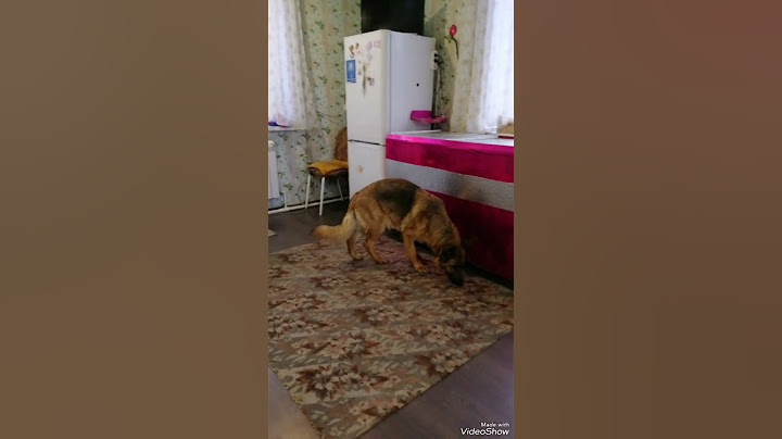 🤠Ну вот опять насорили, ходи тут убирай за ними 😀