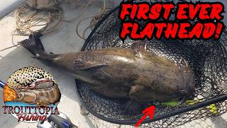 FIRST FLATHEAD ON A JIG! Jiggin DC Trifecta!