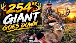 254” Giant Goes Down Using Darton Tritech!!!