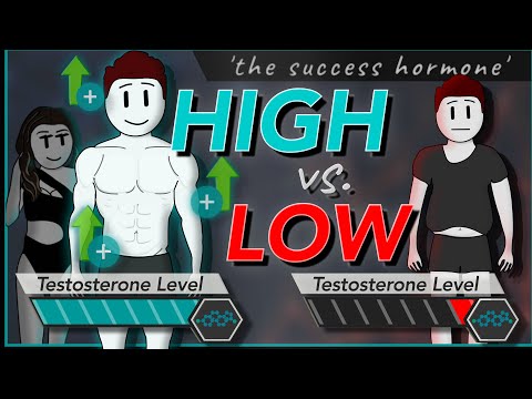 TESTOSTERONE: How To Increase Testosterone & Its Effects (Naturally Boost Low Levels)