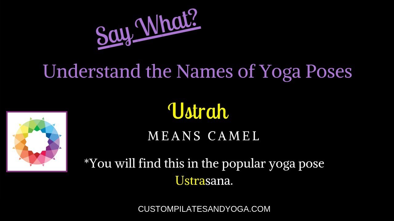 What Does Ustrah Mean in Sanskrit? Understand the Names of Yoga Poses ...