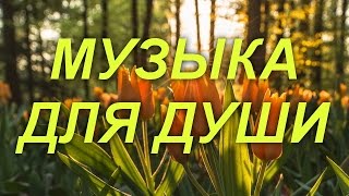 МУЗЫКА ДЛЯ ДУШИ МУЗЫКА ДЛЯ ДУШИ