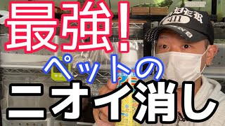 これぞ最強ニオイ消し！最強コスパ&消臭にリラックス効果まで！ニオイノンノ　消臭剤　芳香剤　ペット　悪臭　生ゴミ