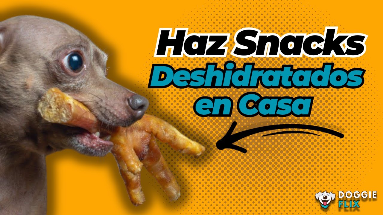 Recetas de Snacks Caseros para Perros: ¡Deliciosos y Saludables!