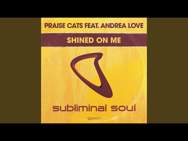 Praise Cats - #363 Shined On Me