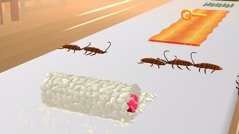 Sushi Roll 3D - ASMR Food Game - All Levels Gameplay Android, iOS