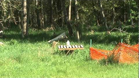 In The Red Exploding Targets!