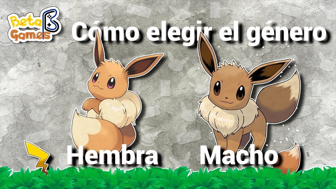Escoger El Género De Pikachu Y De Eevee Pokémon Lets Go Pikachu Eevee
