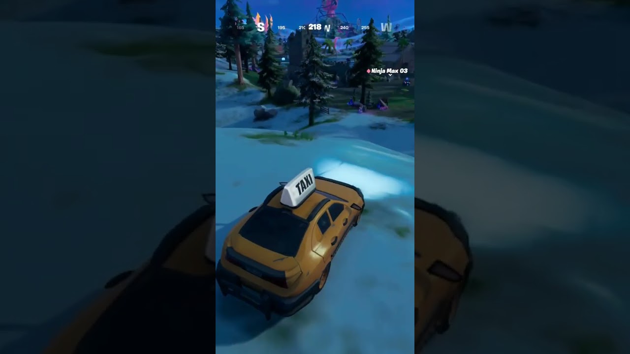 I killed my own teammate! (Fortnite)