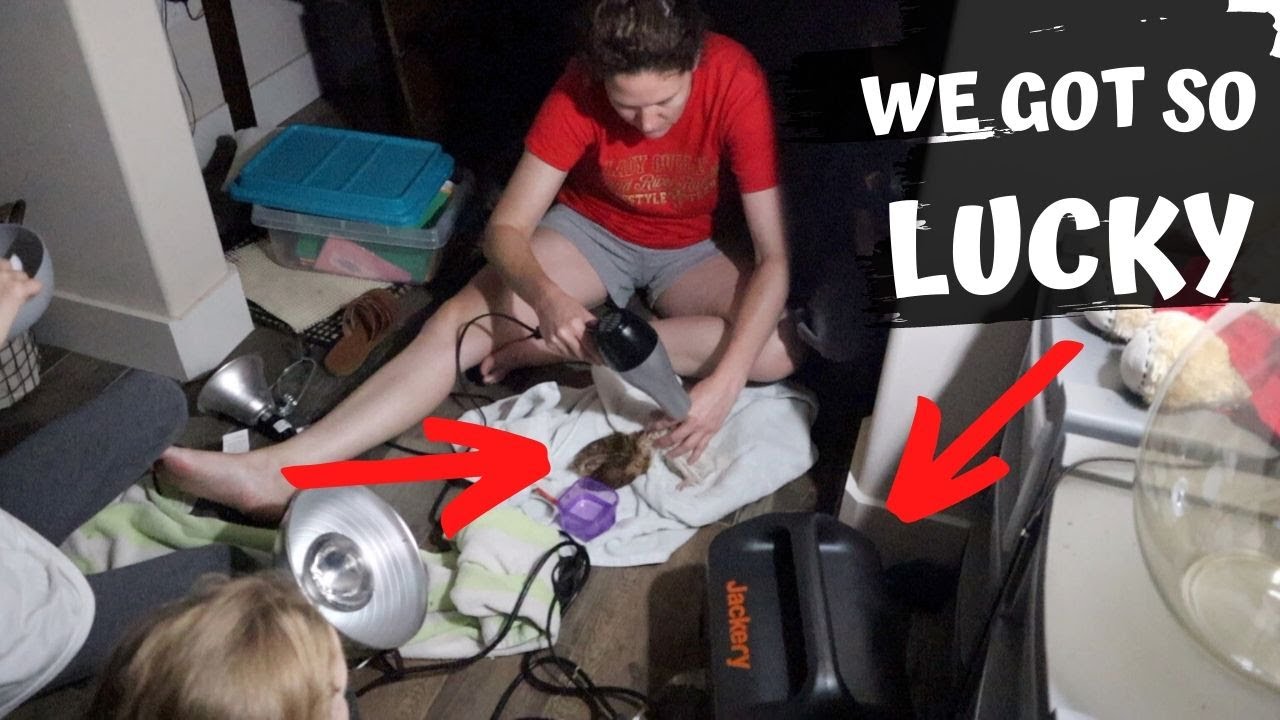 We Went Off-Grid Quicker Than Expected Then Jackery Showed Up & Saved