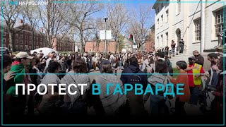 Студенты Гарвардского университета разбили протестную поляну