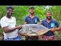 20 kg பெரிய பாறை மீன் குழம்பு, பொறியல் | சியன்றா பாப்பா பிறந்தநாள் விருந்து | Trevally fish cooking