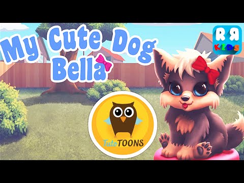 My Cute Dog
