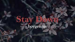boygenius - Stay Down (Sub. Español)