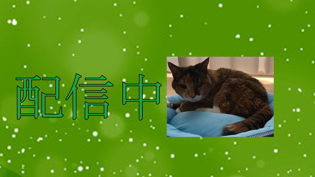 動画　インフルエンザになった