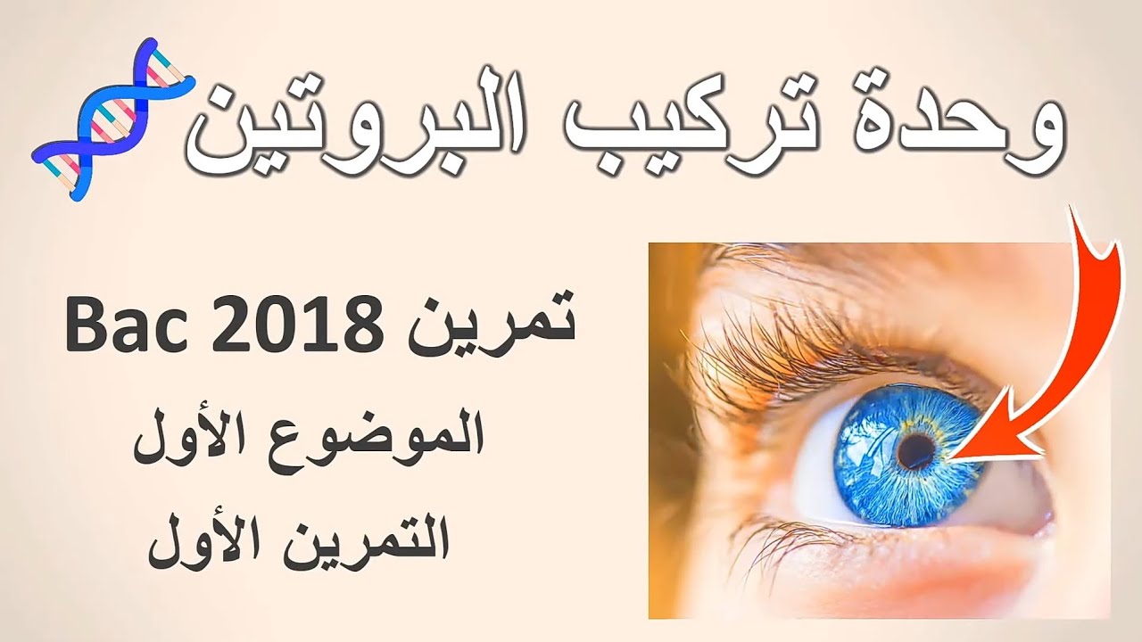 • تمرين 10 تركيب البروتين [ المورثة و سلوك AA  ↖️↙️⬆️] .