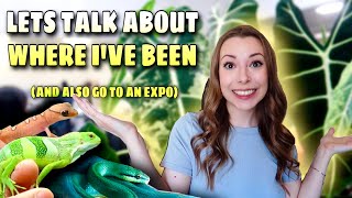 I’m FINALLY Back! Let’s Talk… (And Go To A Reptile Expo!)