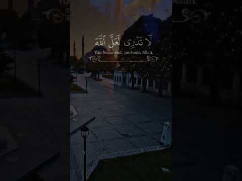 اللهم يا رب النصر النصر فلسطين غزة 