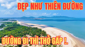 Review Cung Đường Đi Đồi Nhái Vũng Tàu – Vừa Chill Vừa Thót Tim!