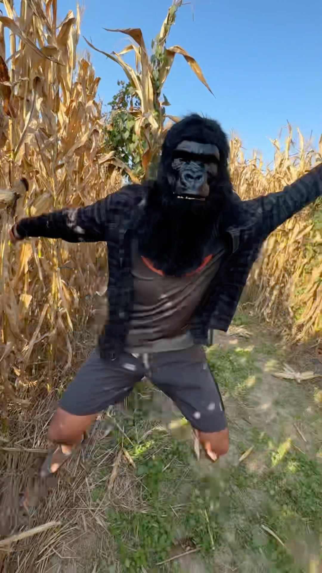 MONKEY MAN HAS THE MOVES 😭 - YouTube