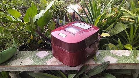 Review Nồi Toshiba RC-10VXH Hay Còn Gọi Là Tô Chuông -  Chiếc Nồi Nhật Cơm Ngon Nhất Tôi Từng Ăn .